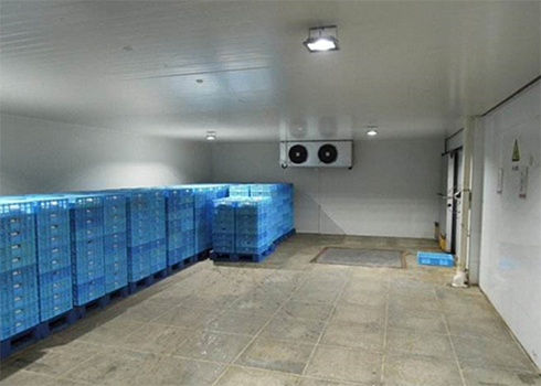保鲜水蜜桃在线视频建造