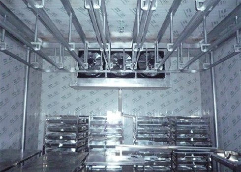 食品速冻水蜜桃在线视频建造公司