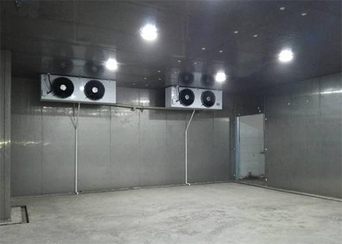 自动化立体水蜜桃在线视频建造