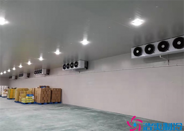 生鲜批发水蜜桃在线视频建造设计规划