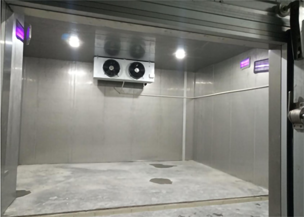食品水蜜桃在线视频建造标准和温度需求