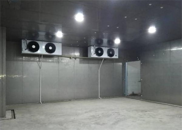 食品水蜜桃在线视频建造标准和温度需求