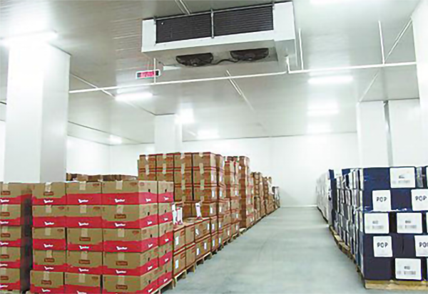 大型生鲜水蜜桃在线视频建造价格