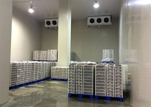 食品水蜜桃在线视频造价 食品水蜜桃在线视频造价