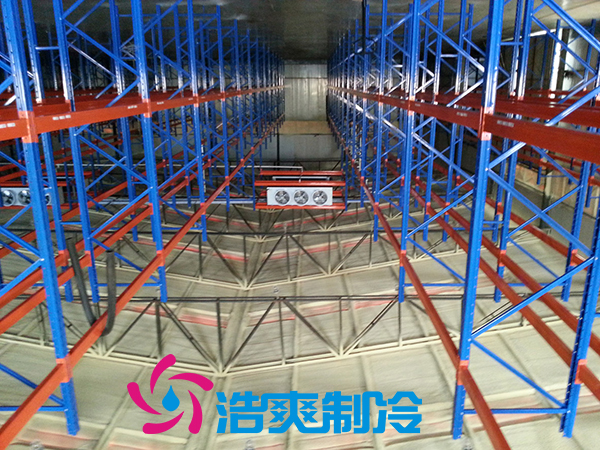 物流水蜜桃在线视频建造规划设计标准及水蜜桃在线视频造价费用