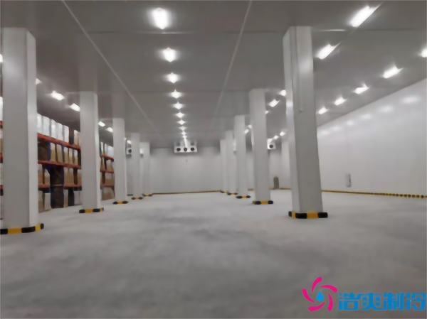 建造-18℃~-23℃牛肉水蜜桃在线视频（低温冷冻库）需要花费多少钱？