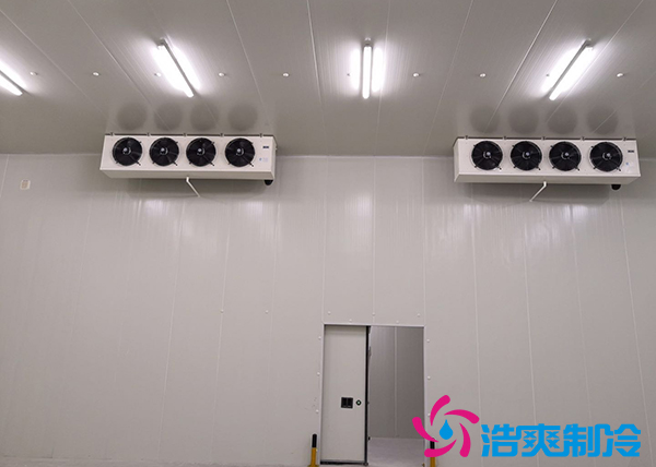 建造一个冰淇淋水蜜桃在线视频造价需要多少钱？