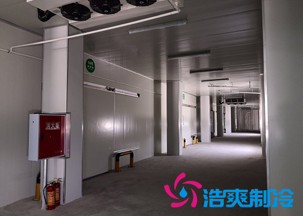 建造一个港口冷链水蜜桃在线视频价格是多少钱？