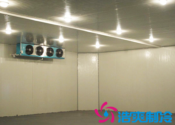 建造一间海参低温冷冻库大约需要多少费用？