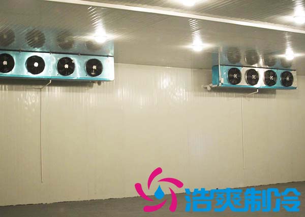 建造一间海参低温冷冻库大约需要多少费用？