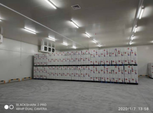 水果蔬菜水蜜桃在线视频建造对库温设计有何要求？_蜜桃视频观看在线制冷