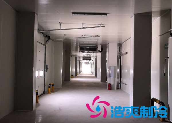 湖北建造5000平米小龙虾食品加工冷冻库造价多少钱？_蜜桃视频观看在线制冷