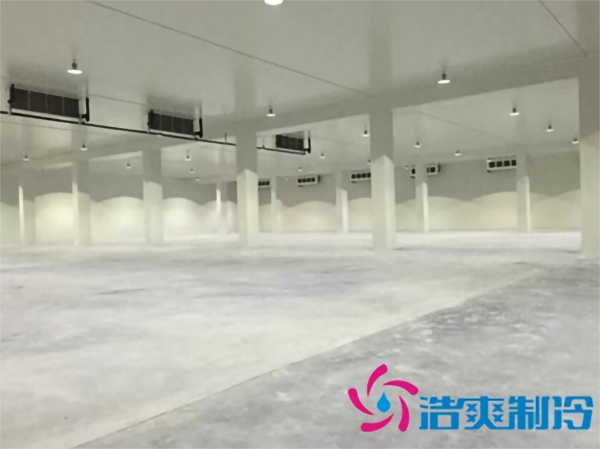 宁波市建造-18~-25℃食品冷冻库需要投资多少费用？_蜜桃视频观看在线制冷