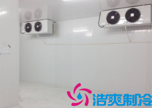 宁波市建造-18~-25℃食品冷冻库需要投资多少费用？_蜜桃视频观看在线制冷