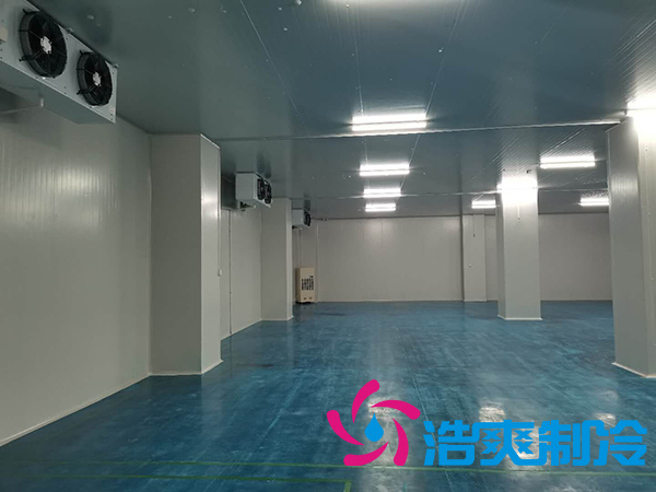 滨州健源大型食品水蜜桃在线视频工程建造安装案例