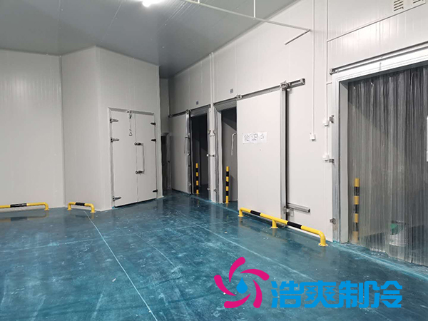 滨州健源大型食品水蜜桃在线视频工程建造安装案例