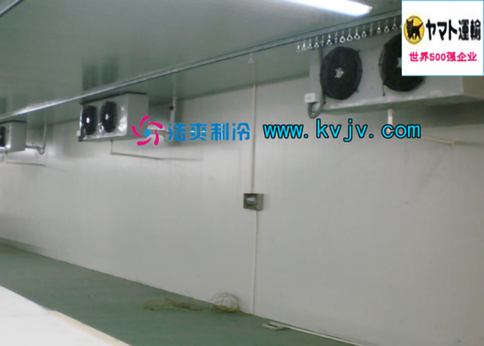 雅玛多（中国）大型物流水蜜桃在线视频设计建造工程案例