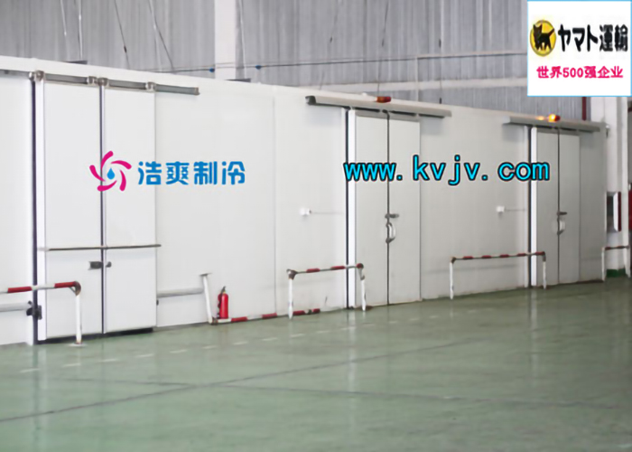 雅玛多（中国）大型物流水蜜桃在线视频设计建造工程案例