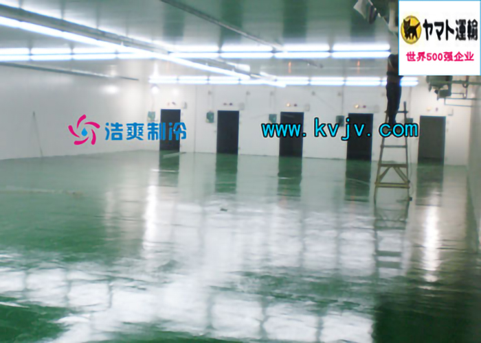 雅玛多（中国）大型物流水蜜桃在线视频设计建造工程案例