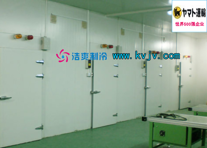 雅玛多（中国）大型物流水蜜桃在线视频设计建造工程案例