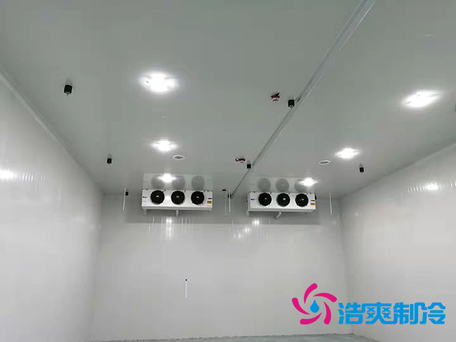 超低温冻库建设价格与哪些因素有关？_蜜桃视频观看在线制冷