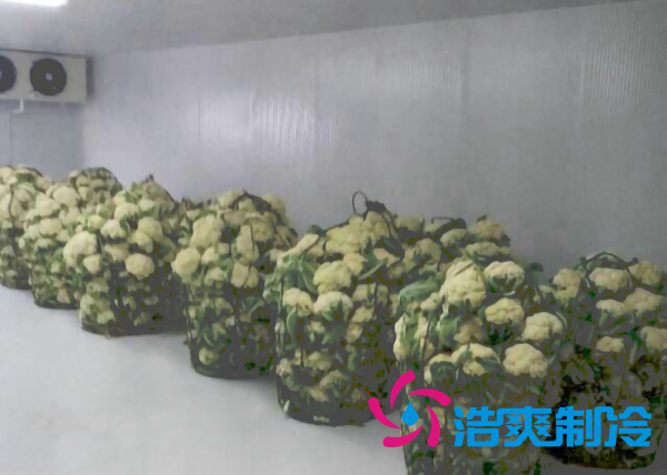 云南500平米气调水蜜桃在线视频安装造价大概是多少？_蜜桃视频观看在线制冷