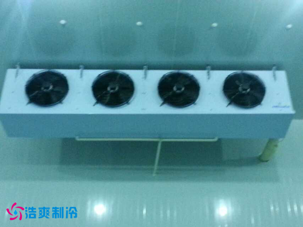 兰州正林农垦食品_干果保鲜水蜜桃在线视频安装