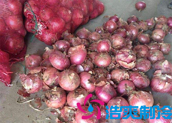 建一个洋葱保鲜库要多少钱呢？_蜜桃视频观看在线制冷