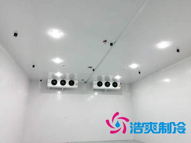 蜂蜜水蜜桃在线视频建设方案和存储温度需求_蜜桃视频观看在线制冷