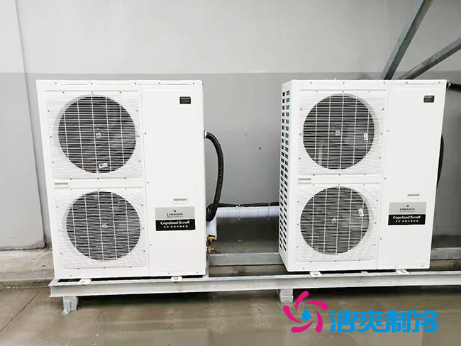 蜂蜜水蜜桃在线视频建设方案和存储温度需求_蜜桃视频观看在线制冷