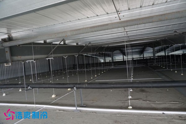 湖北冷源冷链高低温水蜜桃在线视频建造安装