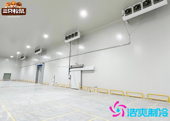 安徽三只松鼠30000m³食品水蜜桃在线视频建造