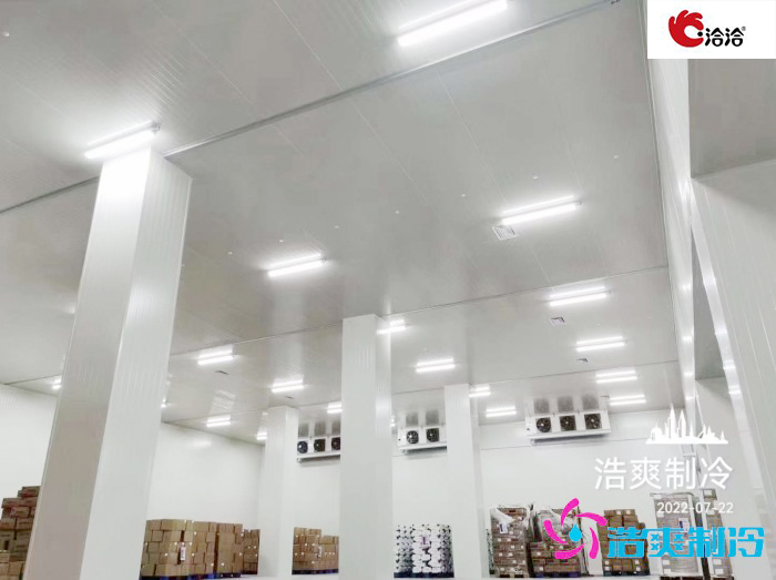 长沙洽洽5000立方食品原料加工水蜜桃在线视频