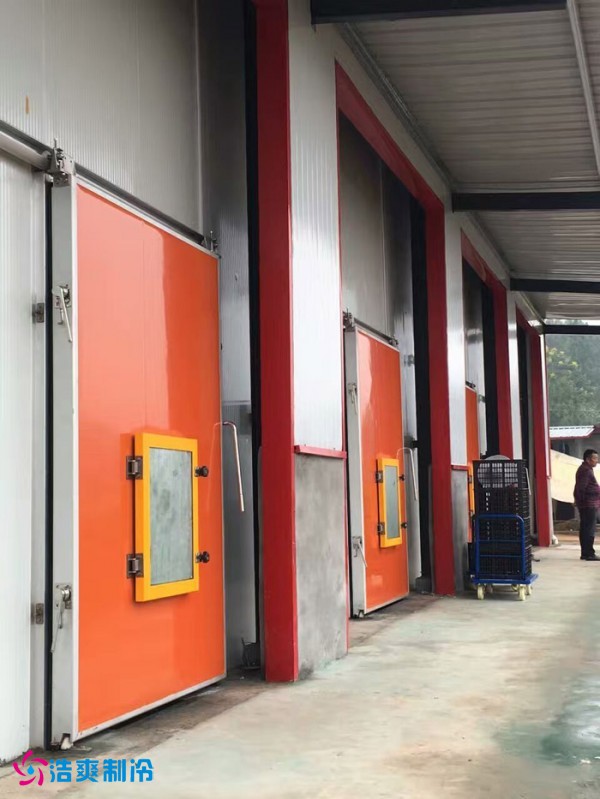 巴中葡萄种植合作社气调保鲜水蜜桃在线视频建造