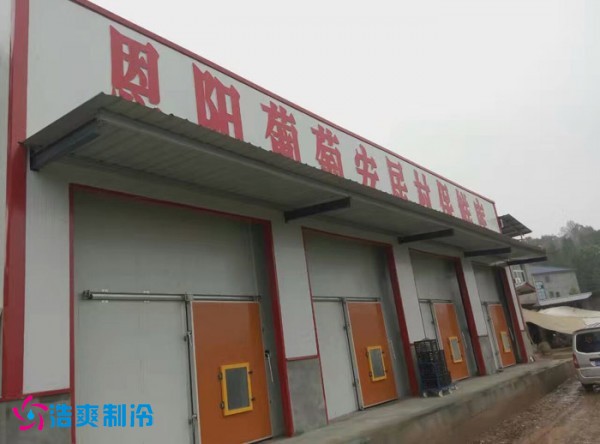 巴中葡萄种植合作社气调保鲜水蜜桃在线视频建造