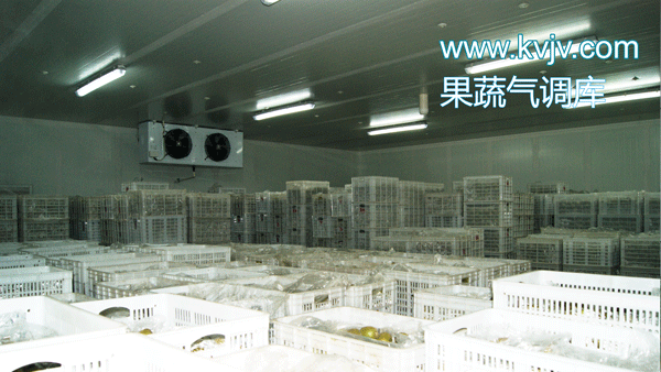衢州蜜之源果业气调保鲜水蜜桃在线视频建造工程 衢州蜜之源果业气调保鲜水蜜桃在线视频建造工程