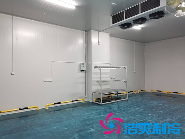 建一个1000平米蔬菜恒温库成本多少钱？_蜜桃视频观看在线制冷