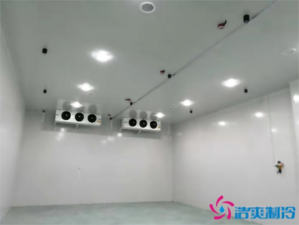 水果水蜜桃在线视频保鲜温度是多少_水果水蜜桃在线视频造价多少钱一立方_蜜桃视频观看在线制冷