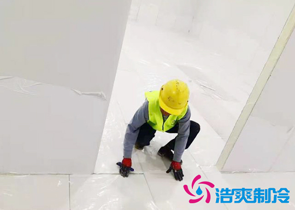 2000立方米海鲜水蜜桃在线视频建造方案及水产冷冻库造价成本_蜜桃视频观看在线制冷