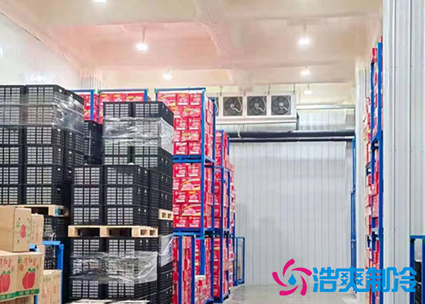水果水蜜桃在线视频保鲜库建造价格是多少钱？-蜜桃视频观看在线制冷