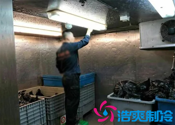 垃圾水蜜桃在线视频房设计方案,垃圾水蜜桃在线视频价格标准规范多少钱-蜜桃视频观看在线制冷