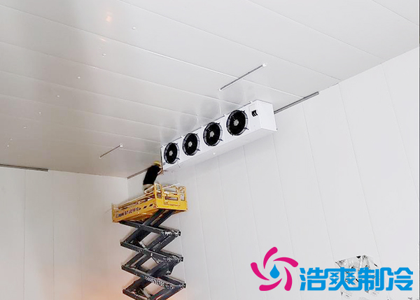建一个速冻水蜜桃在线视频设备报价大概需要多少钱？-蜜桃视频观看在线制冷