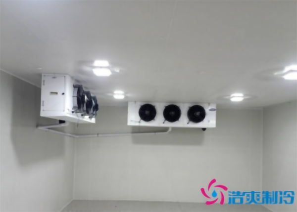 蔬菜种植基地建造600立方米保鲜水蜜桃在线视频大概需要多少钱？-蜜桃视频观看在线制冷