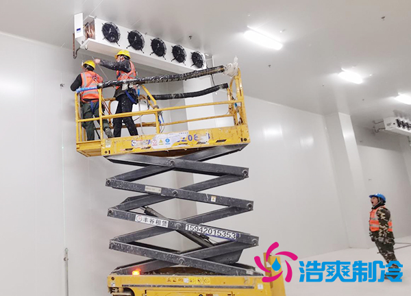 蔬菜种植基地建造600立方米保鲜水蜜桃在线视频大概需要多少钱？-蜜桃视频观看在线制冷
