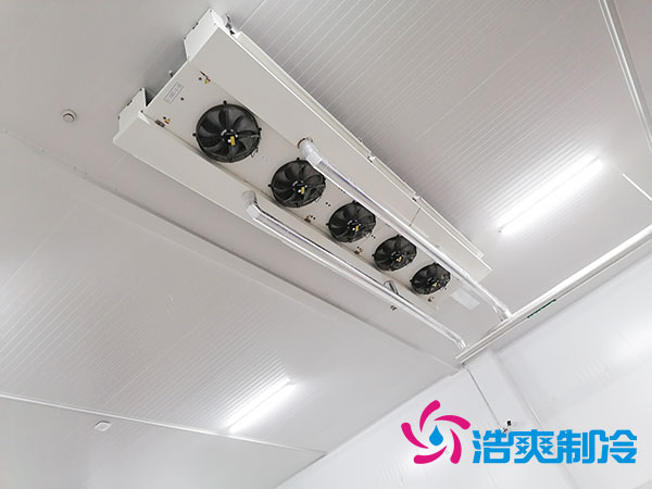 连锁超市水蜜桃在线视频造价成本及安装设计规范-蜜桃视频观看在线制冷