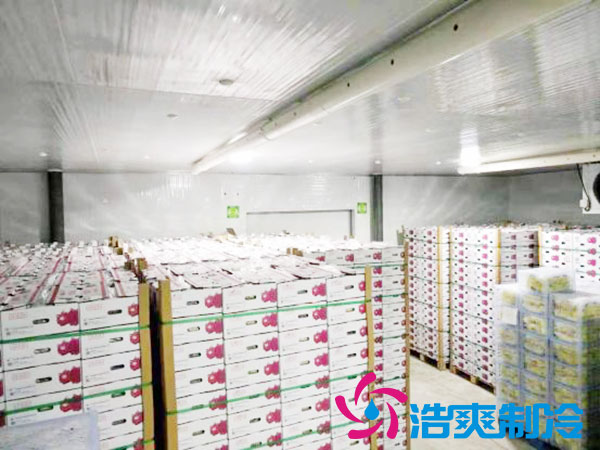 建一个5—10平方的小型水蜜桃在线视频的价钱是多少？-蜜桃视频观看在线制冷