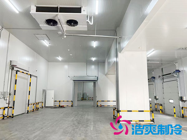建一个500吨的水蜜桃在线视频需多少钱？-蜜桃视频观看在线制冷