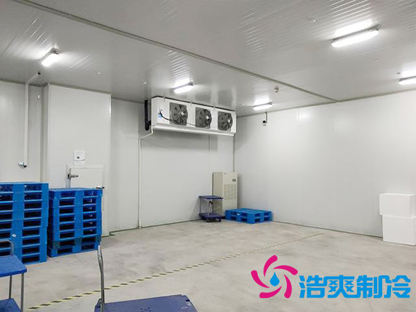 100平方米蔬菜保鲜水蜜桃在线视频造价多少钱？-蜜桃视频观看在线制冷