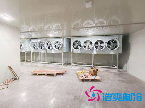 安装一个速冻水蜜桃在线视频需多少钱？-蜜桃视频观看在线制冷