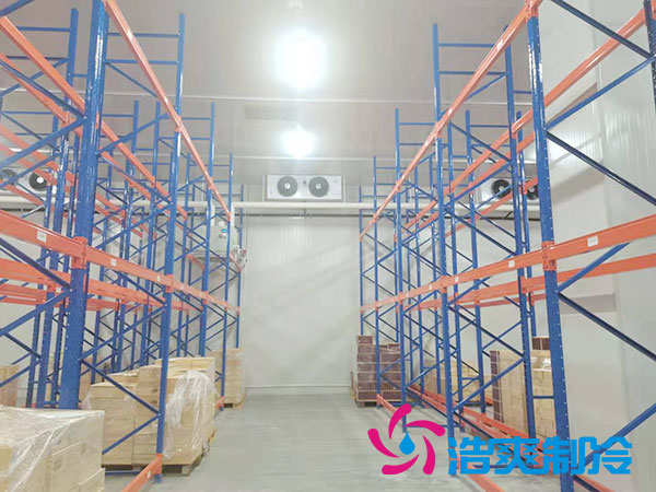 江西物流水蜜桃在线视频建造公司哪家好？